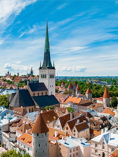 Estonya Şirket Kuruluşu